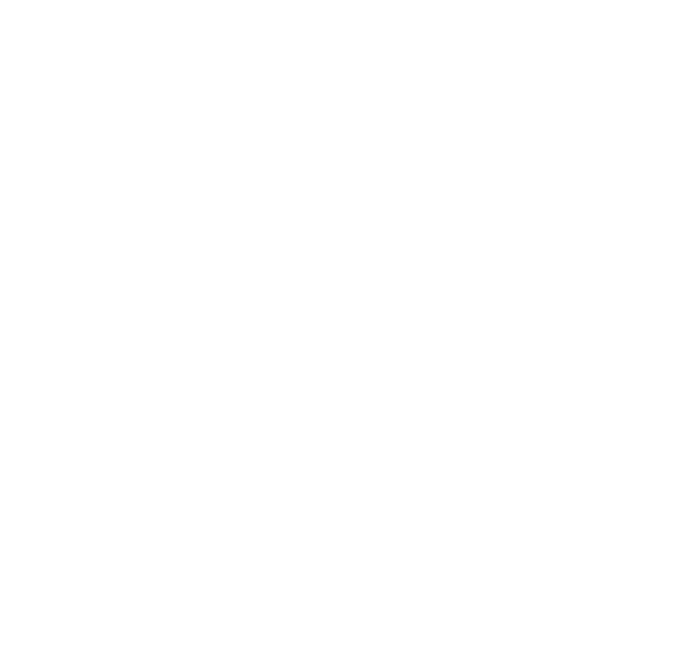 Certificación Policial